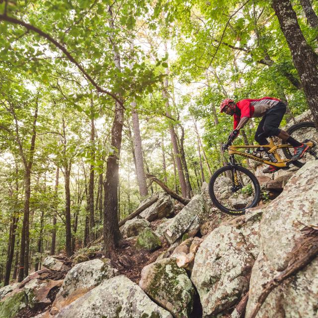 A mountain biker going downhill on a rocky path on the Monument Trails at Pinnacle Mountain State Park